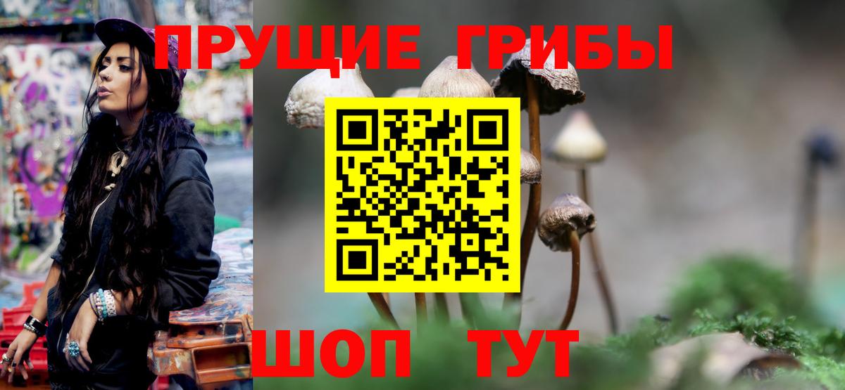 Бугуруслан  Галлюциногенные грибы прущие грибы  Вход с VPN 